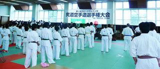 P1010864.jpg