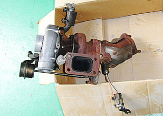 gro03.jpg