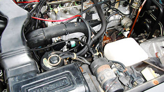 tb43000.jpg